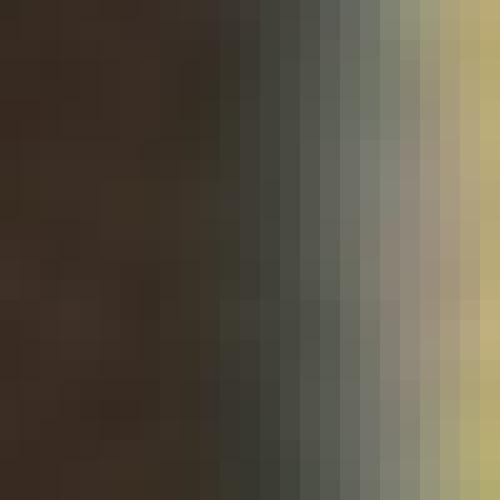 Leaked Footage Of Massive Rhos Fight Behind The Scenes