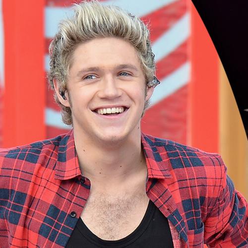 Niall Horan Reveals His Relationship Status To The World
