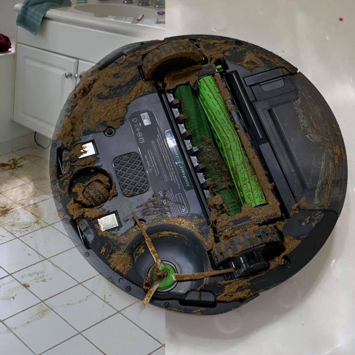 paraguas Fragante Profecía Man's Roomba Runs Over Dog Poo, Spreading It Throughout The House