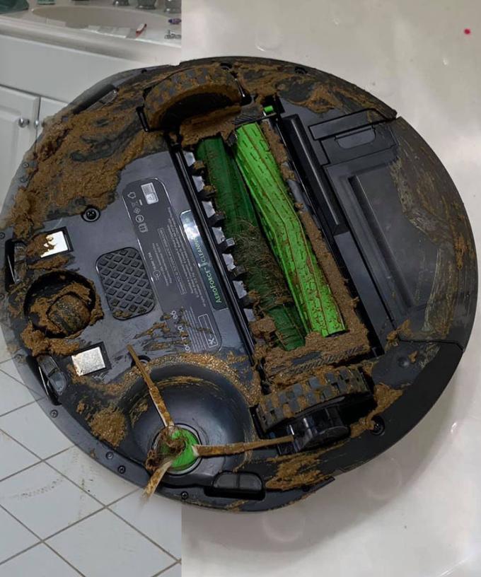paraguas Fragante Profecía Man's Roomba Runs Over Dog Poo, Spreading It Throughout The House