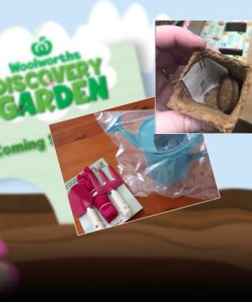 Sneak Peek: Woolies’ Discovery Garden Collectables ‘Already In Stores’