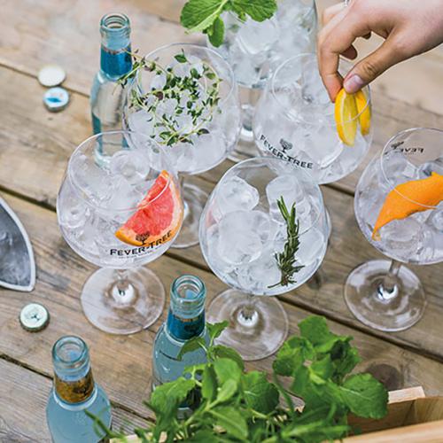 A Gin And Tonic Festival Is Coming To Sydney This Spring
