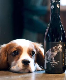 You Can Help Save Rescue Pets Just By Drinking This Wine
