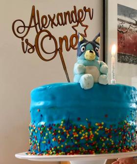 'Bluey' Birthday Cakes Your Kids Will Obsess Over