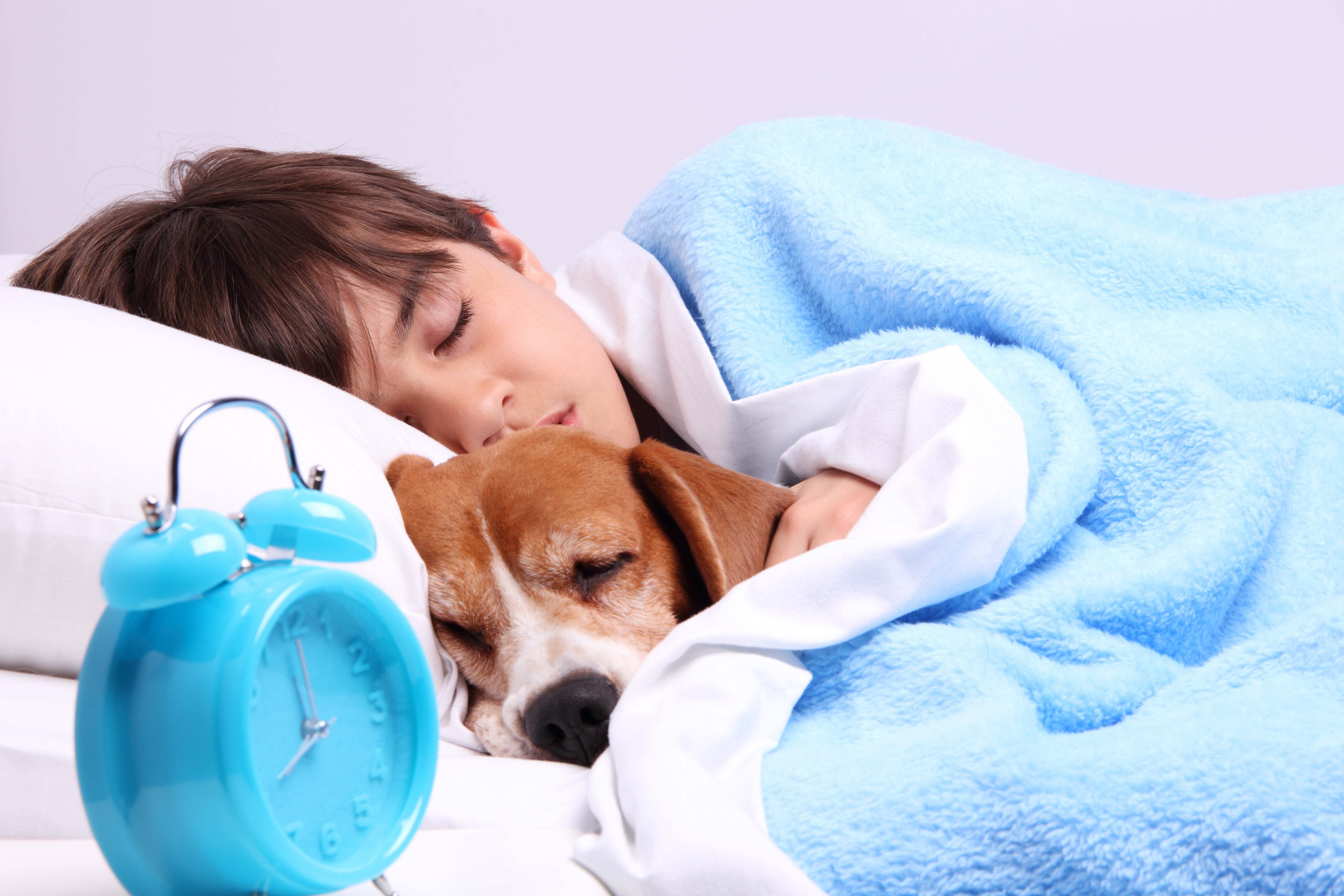 sleeping with dogs study