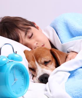 A Study Has Found Sleeping Next To A Dog Improves Your Sleep