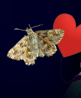 Jackie O Had A 'Moment' With A Moth