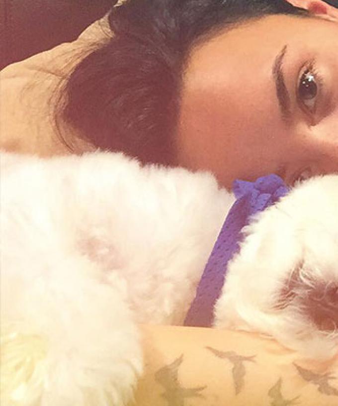 Demi Lovato S Dog Buddy Ripped Apart By A Coyote Cotrona, zane holtz, and eiza gonzález. kiis 1065 sydney