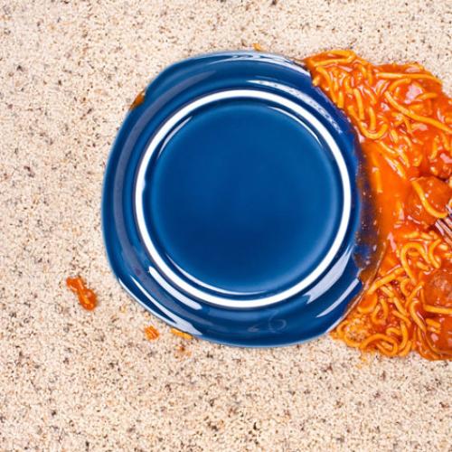Is The 5 Second Rule For Dropped Food Healthy?