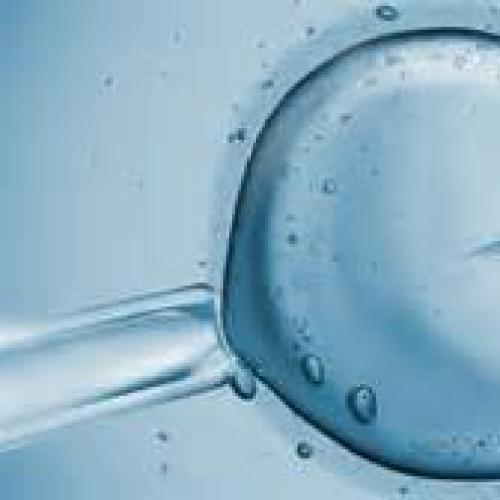 A Major Change To Australia's Ivf Laws Could Be On Its Way!