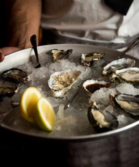 This Beach Club Is Offering $1 Oysters On Wednesdays For The Rest Of July