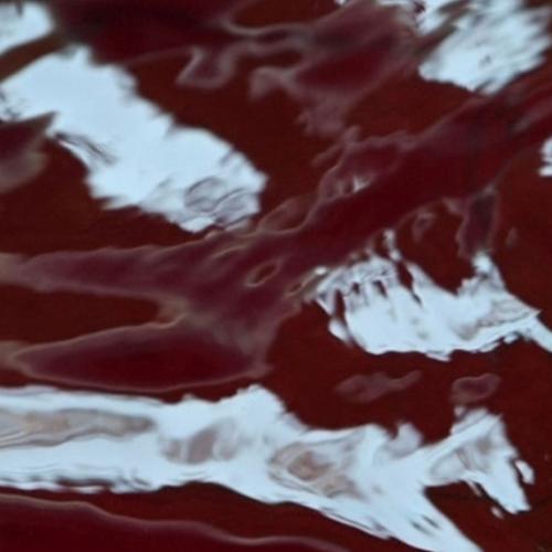 This Japanese Spa Lets You Swim in A Pool of Red Wine