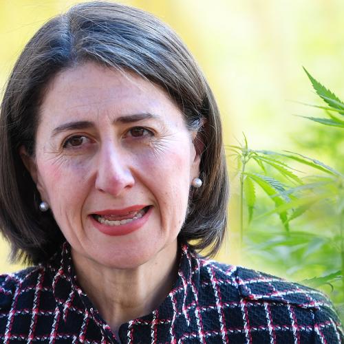 Gladys Berejiklian Explains Why She Won’t Legalise Marijuana In NSW