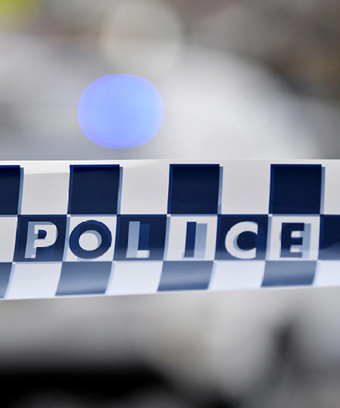 Sydney Woman Arrested After Allegedly Stabbing Her Cat To Death