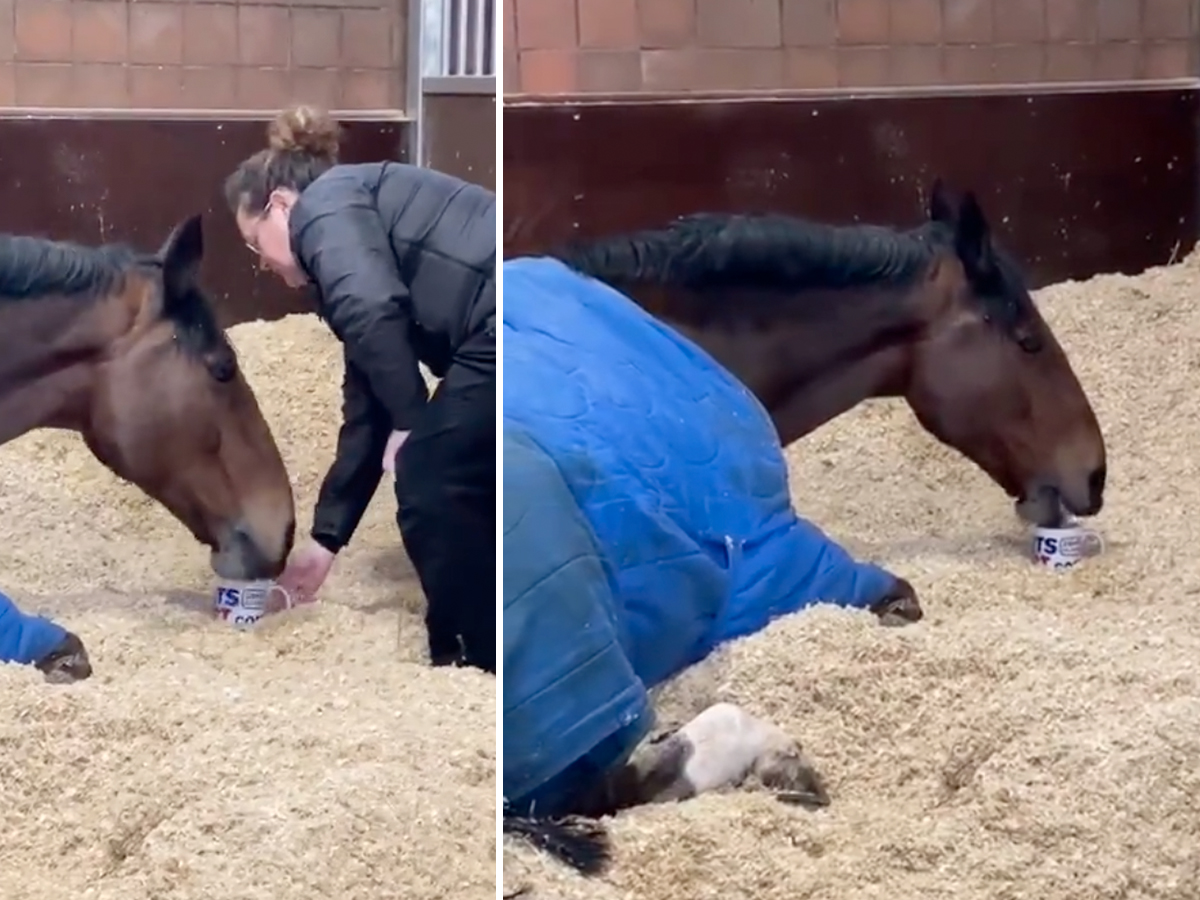 Https Www Kiis1065 Com Au Entertainment Aria Music Awards 2019