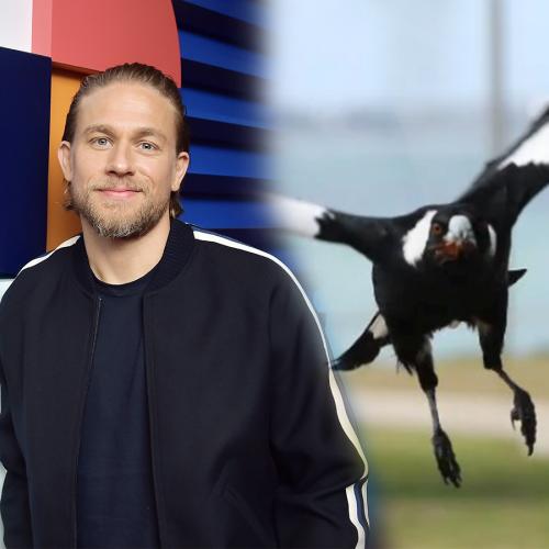 Charlie Hunnam Is Terrified Of Magpie’s So He’s Basically An Honorary Aussie