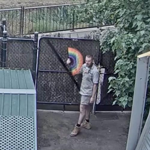 This Dancing Worker On An Aussie Zoo Livestream Is An Absolute Legend