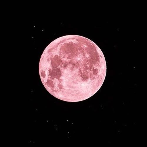 How To See April’s Pink SUPER MOON Up In The Sky TONIGHT!