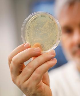 UK To Start Human Trials Of Coronavirus Vaccine This Week