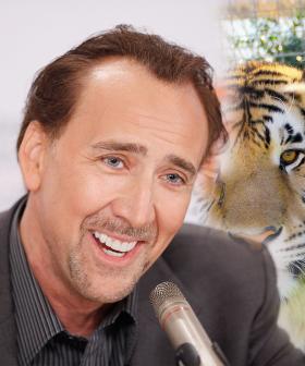 Nicolas Cage Has Been Cast As Joe Exotic In New Tiger King Series