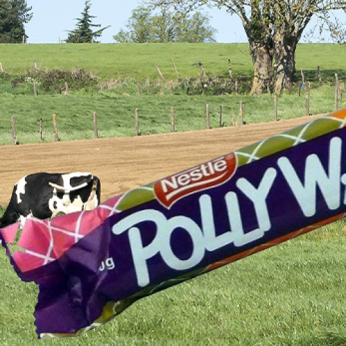 There Are Now Calls To 'Veganise' The Polly Waffle When It Returns To Shelves