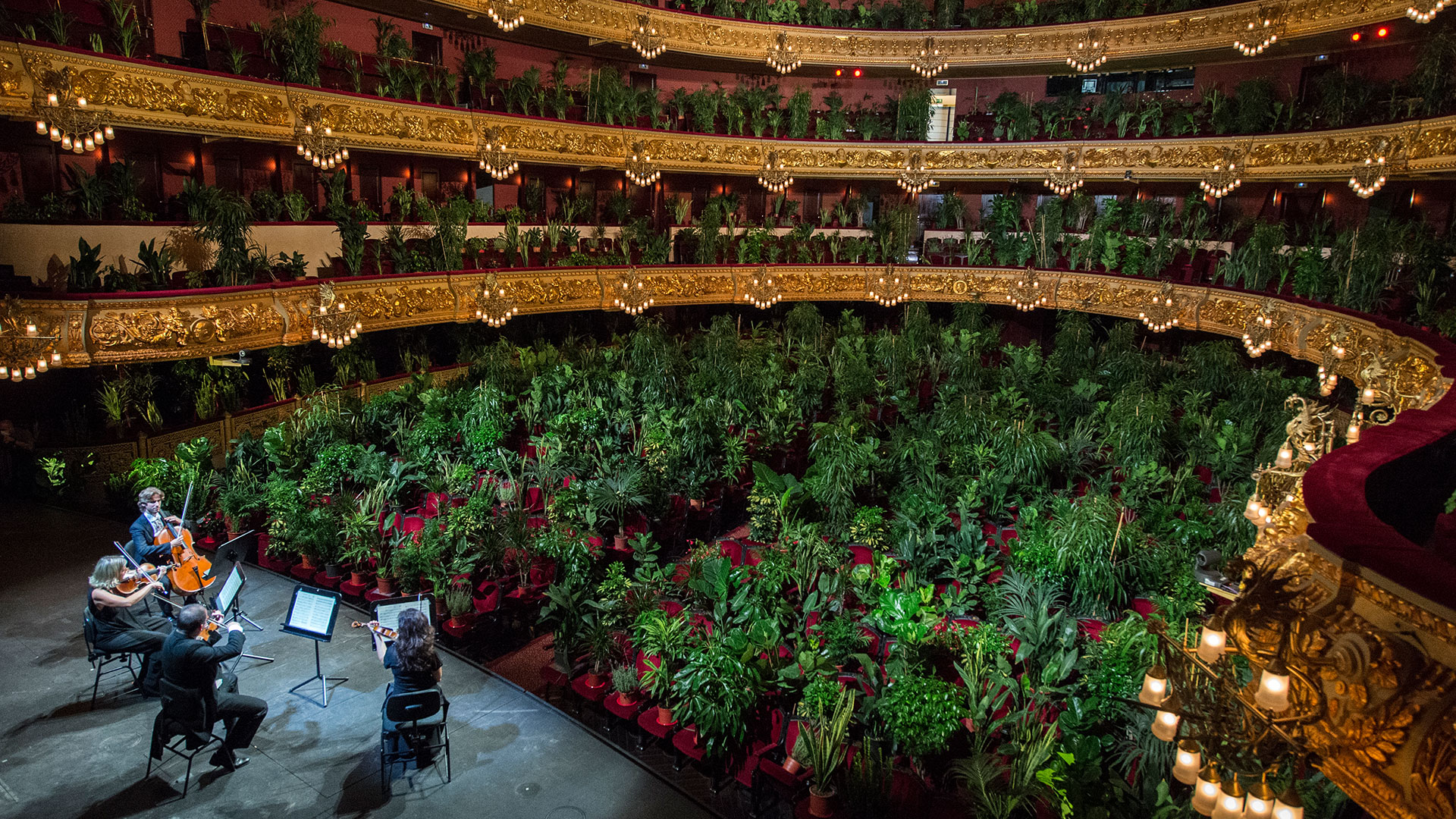 Barcelona's Opera Has Celebrated Its Reopening By Playing To An