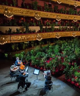 Barcelona's Opera Has Celebrated Its Reopening By Playing To An Audience Of...Plants