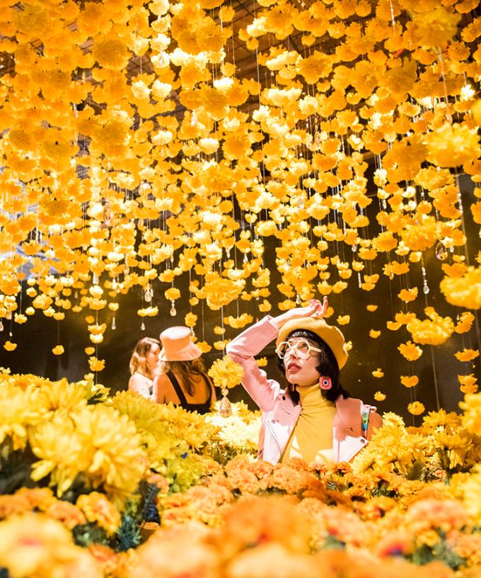 The World S Most Instagrammable Exhibit Happy Place Is Reopening