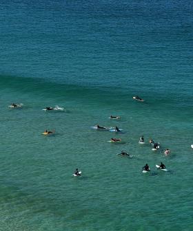 Sydney’s Popular Beaches To Be Patrolled By Drones In Bid To Prevent Shark Attacks