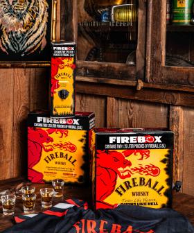 Merry Christmas! Fireball Whisky Is Selling A 3.5L Firebox For All Your Party Needs