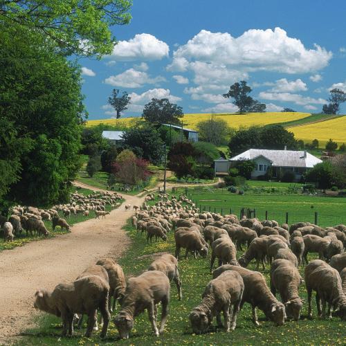 NSW Residents Will Be Getting $50 Government Vouchers To Spend On Holiday Accommodation!