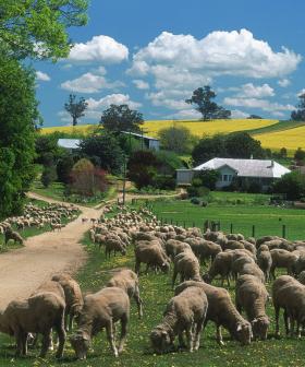 NSW Residents Will Be Getting $50 Government Vouchers To Spend On Holiday Accommodation!