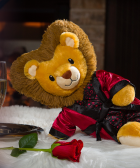 Build-A-Bear Release 'After Dark' Range Of 'X-Rated' Teddies For Valentines...