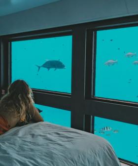Australia's First Underwater Hotel Is Here!