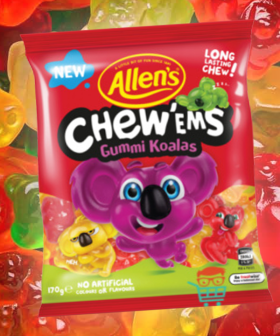 Allen's Have Dropped Cute Gummy Koala Chew 'Ems