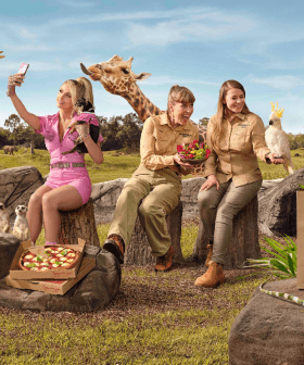 The Irwins & Paris Hilton Star In Hilarious Uber Eats Ad!