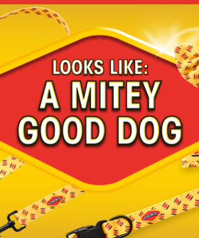 A MITEY New Dog Range From Vegemite!