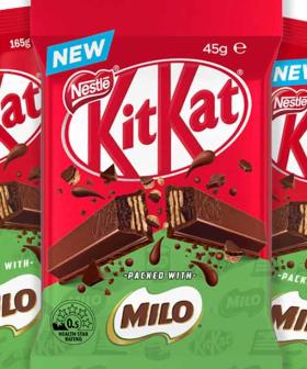 KitKat & Milo Have Finally Found Each Other In This God-Tier Pairing
