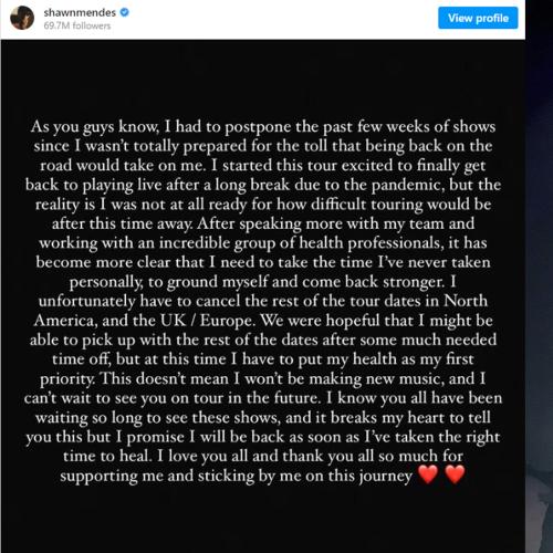 Shawn Mendes Cancels Wonder Tour