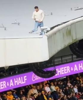 Man Appears To Urinate From The Top Of SCG Grandstand During Wallabies v England Match