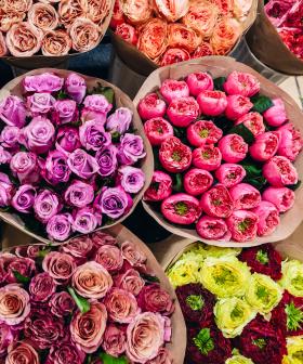 How You Could Score Free Flowers From Coles!