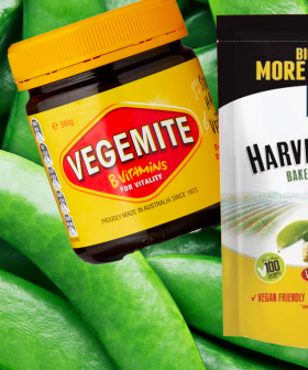 Harvest Snaps Release A Limited Edition Vegemite Flavour!