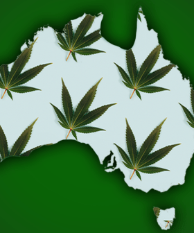 Hot (Box) Topic: The Legalisation Of Cannabis Is On The Rise!