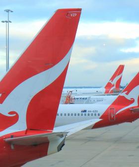 Qantas Scraps Vegetarian Meal Option On Some Domestic Flights