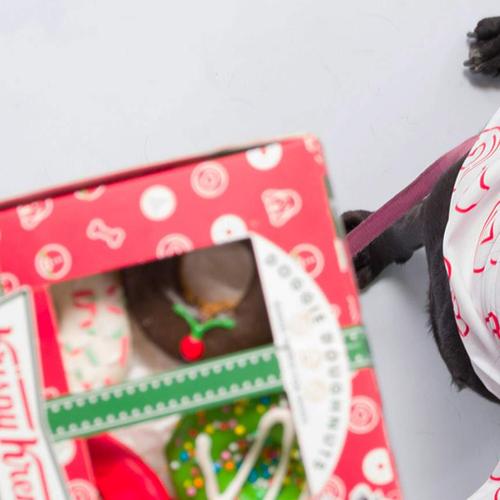 Krispy Kreme Has Your Doggy's Back This Christmas!