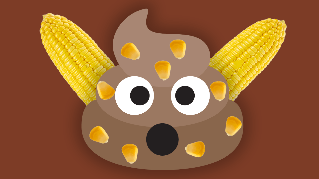 Why Is There Corn In Our Poop?