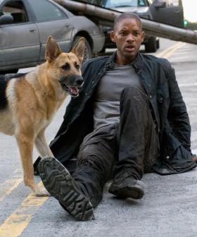 We Don't Know How... But It Seems We're Getting An 'I Am Legend' Sequel