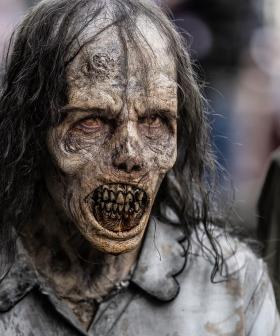 Attention Walking Dead Fans - Stan's New Series Is Now Streaming!