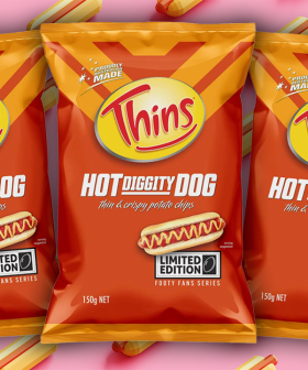 Hot Diggity Dog! Thins Have Released Hot Dog Crisps!