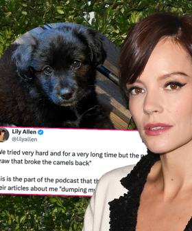 Lily Allen Responds to Backlash Over Controversial Decision to Return Her Dog to the Shelter
